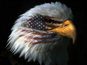 eagleandamericanflag.jpg